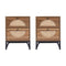 Elegant Natural Rattan 2-Drawer Side Table, Walnut (HBG82417) - HBG