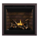 Napoleon Altitude X Direct Vent Natural Gas Fireplace - HBG