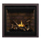 Napoleon Altitude X Direct Vent Natural Gas Fireplace - HBG