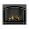 NAPOLEON ALTITUDE X Direct Vent 42" Propane Gas Fireplace [AX42PTE-1] (HBG74829) - HBG