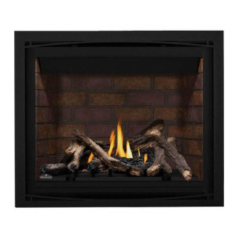 NAPOLEON ALTITUDE X Direct Vent 42" Propane Gas Fireplace [AX42PTE-1] (HBG74829) - HBG