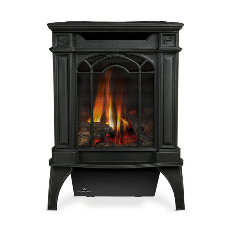 NAPOLEON ARLINGTON 20 Cast Iron Direct Vent Metallic Black Natural Gas Stove [GDS20NE] (HBG18258) - HBG