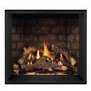 NAPOLEON ELEVATION X 42 Direct Vent Electronic Ignition Propane Fireplace (HBG83652) - HBG