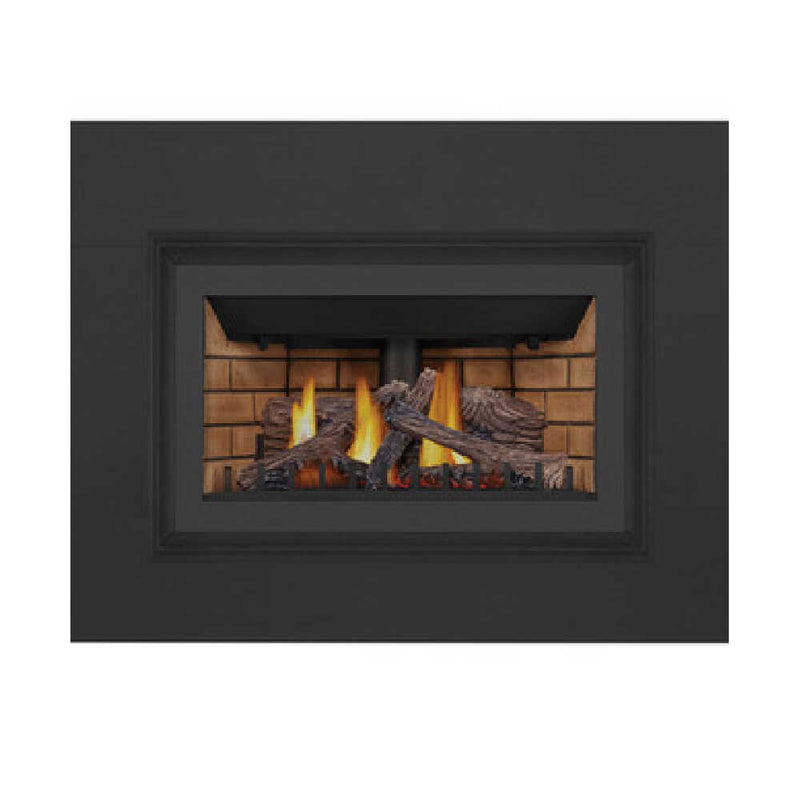  Napoleon Inspiration ZC Fireplace Insert - HBG