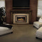  Napoleon Inspiration ZC Fireplace Insert - HBG