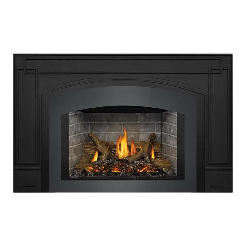 NAPOLEON OAKVILLE Direct Vent Electronic Ignition Natural Gas Fireplace Insert (GDIX3N/4N-1) (HBG21347) - HBG