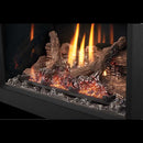 NAPOLEON OAKVILLE Direct Vent Electronic Ignition Natural Gas Fireplace Insert (GDIX3N/4N-1) (HBG21347) - HBG