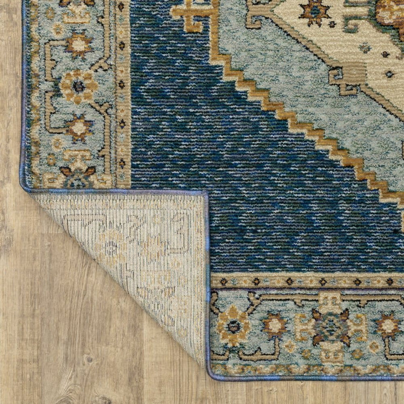 ORIENTAL WEAVERS Andorra 2430A Blue Traditional Medallion Nylon Indoor Area Rectangle Rug (HBG98765)-HBG