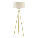 Elegant Modern Pacific Metal Home Tripod Floor Lamp With Glass Shade (96841273) - HBG