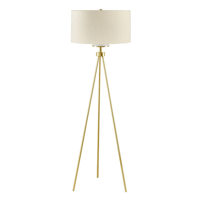 Elegant Modern Pacific Metal Home Tripod Floor Lamp With Glass Shade (96841273) - HBG