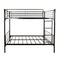 Sturdy Twin Metal Bunk Bed Frame With Ladder, Black (96387521) - HBG